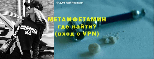 гидра Елизово