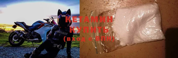 гидра Елизово