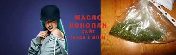 гидра Елизово