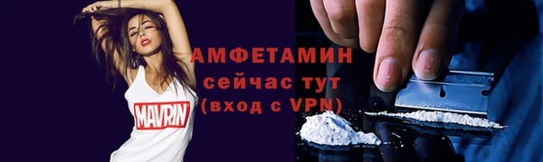 гидра Елизово