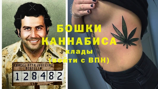 гидра Елизово