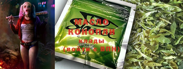 гидра Елизово