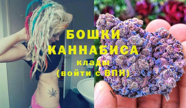 гидра Елизово
