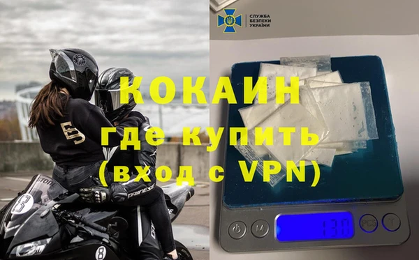 гидра Елизово